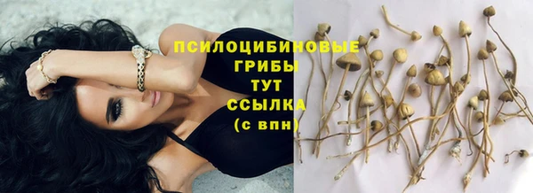 ГАЛЛЮЦИНОГЕННЫЕ ГРИБЫ Алзамай