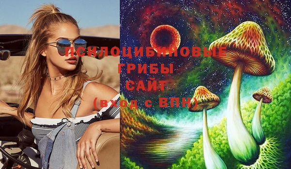 спиды Алексин