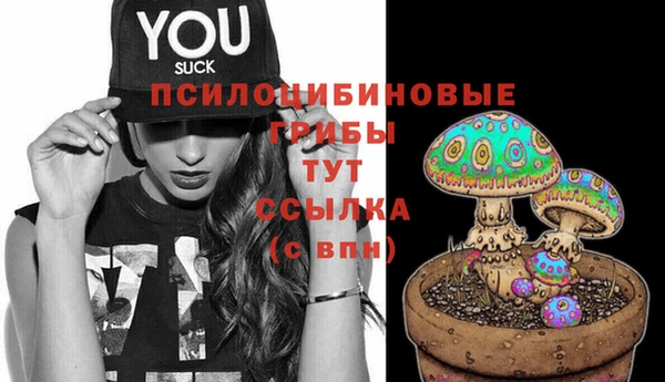 спиды Алексин