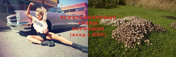 спиды Алексин