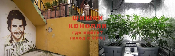 ГАЛЛЮЦИНОГЕННЫЕ ГРИБЫ Алзамай