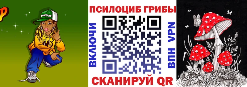Псилоцибиновые грибы Cubensis  где продают   Глазов 