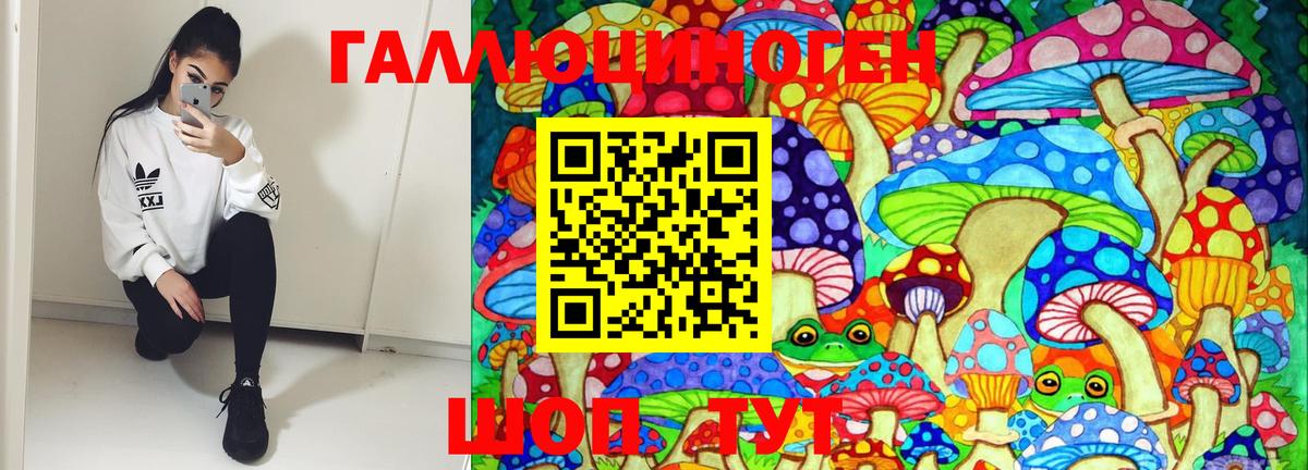 Глазов  Псилоцибиновые грибы Magic Shrooms  Вход с VPN 