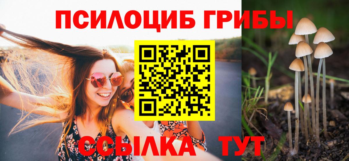Галлюциногенные грибы GOLDEN TEACHER Глазов